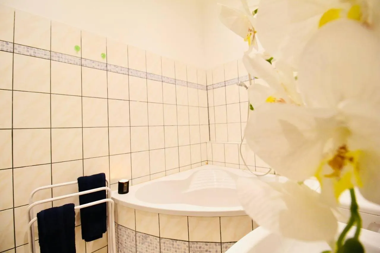 Comfort Rooms In Praterstern Area Vienna Homestay