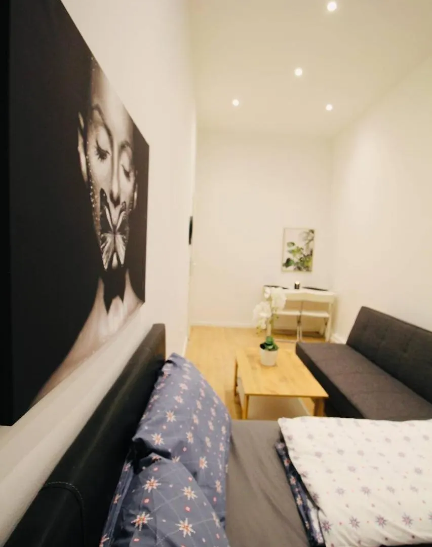 Comfort Rooms In Praterstern Area Vienna Austria