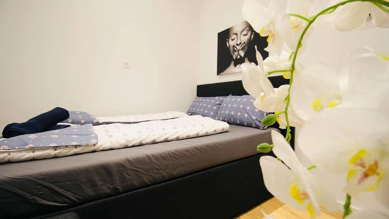 Comfort Rooms In Praterstern Area Vienna
