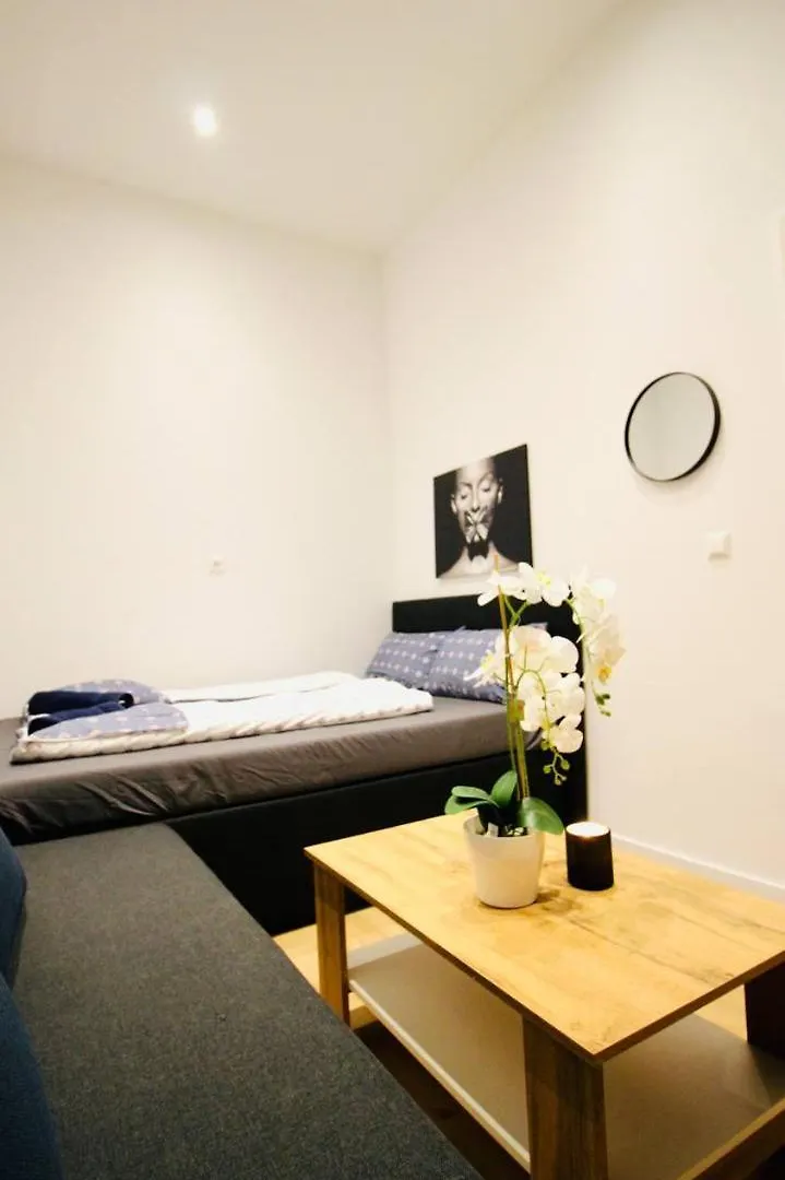 Comfort Rooms In Praterstern Area Vienna