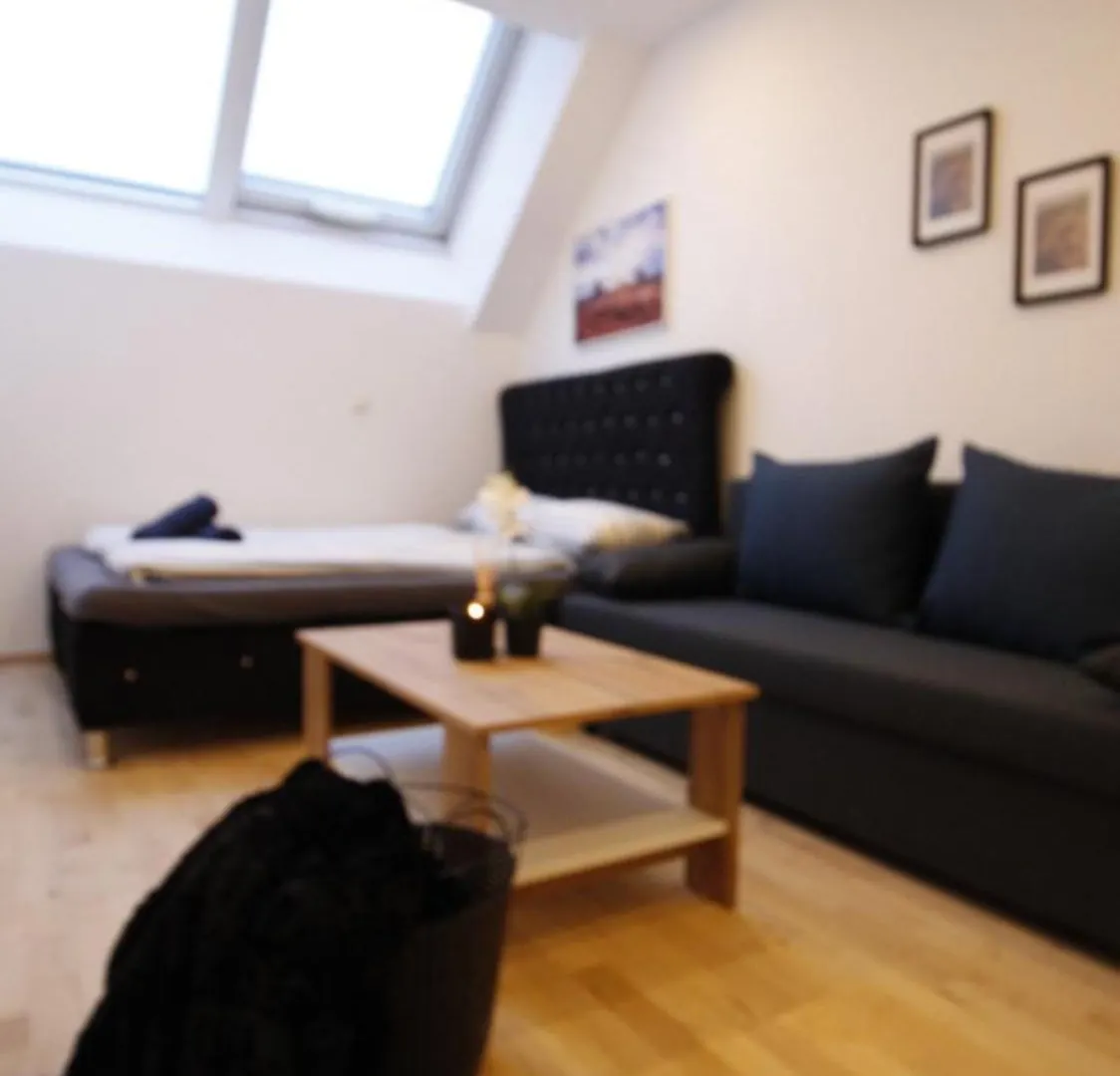 Comfort Rooms In Praterstern Area Vienna