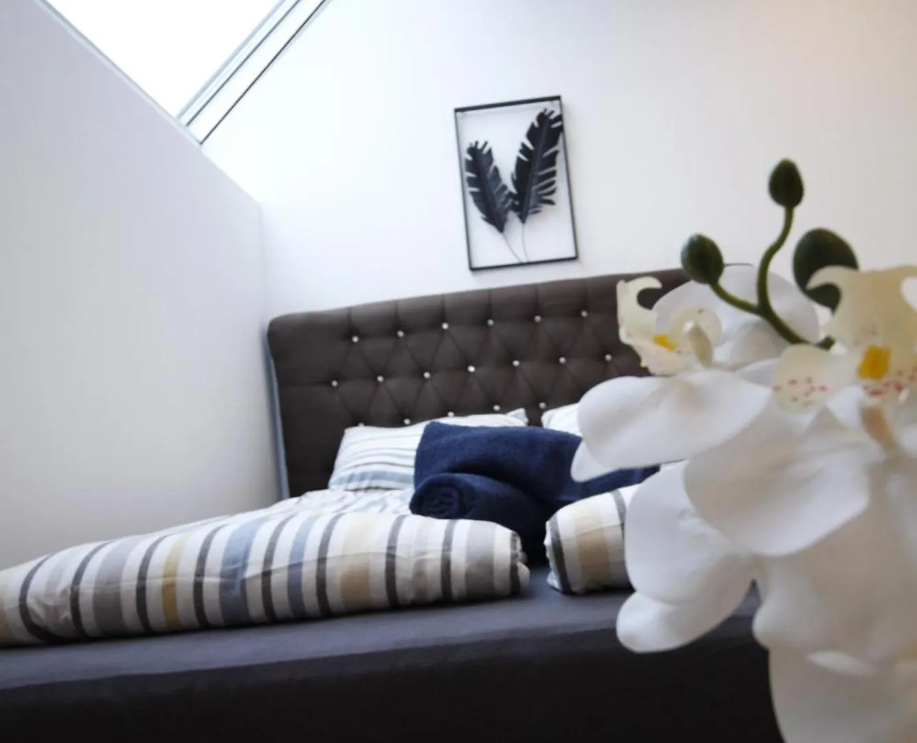Comfort Rooms In Praterstern Area Vienna