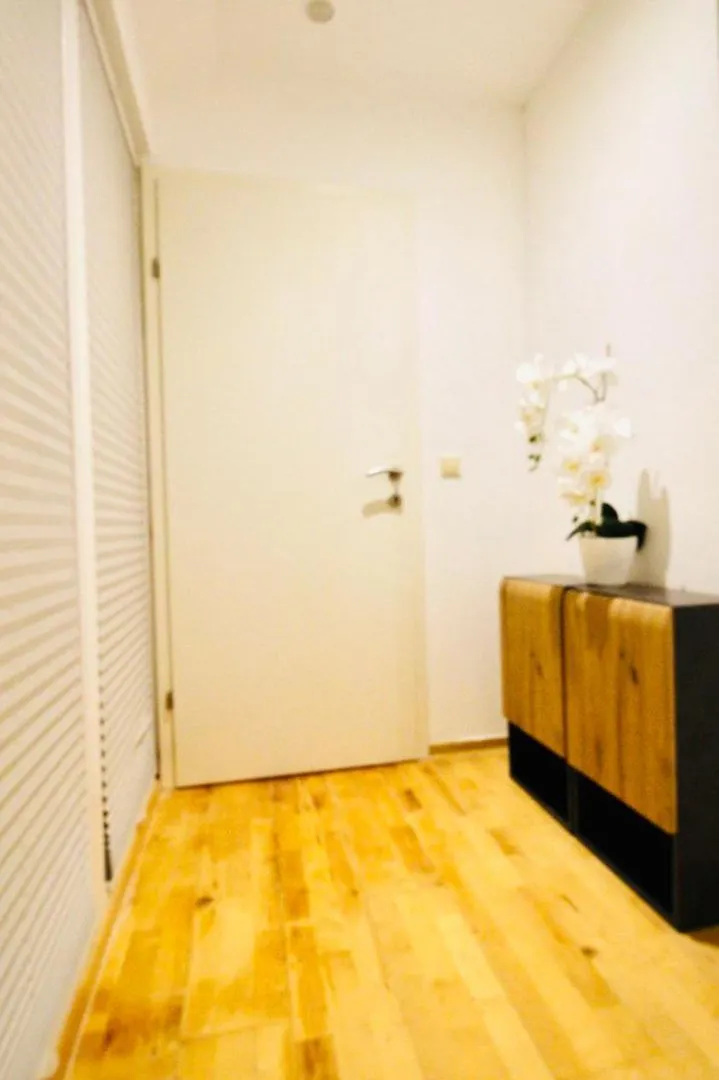 Comfort Rooms In Praterstern Area Vienna 0*,