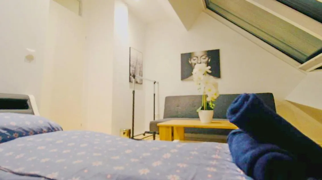 Comfort Rooms In Praterstern Area Vienna Homestay