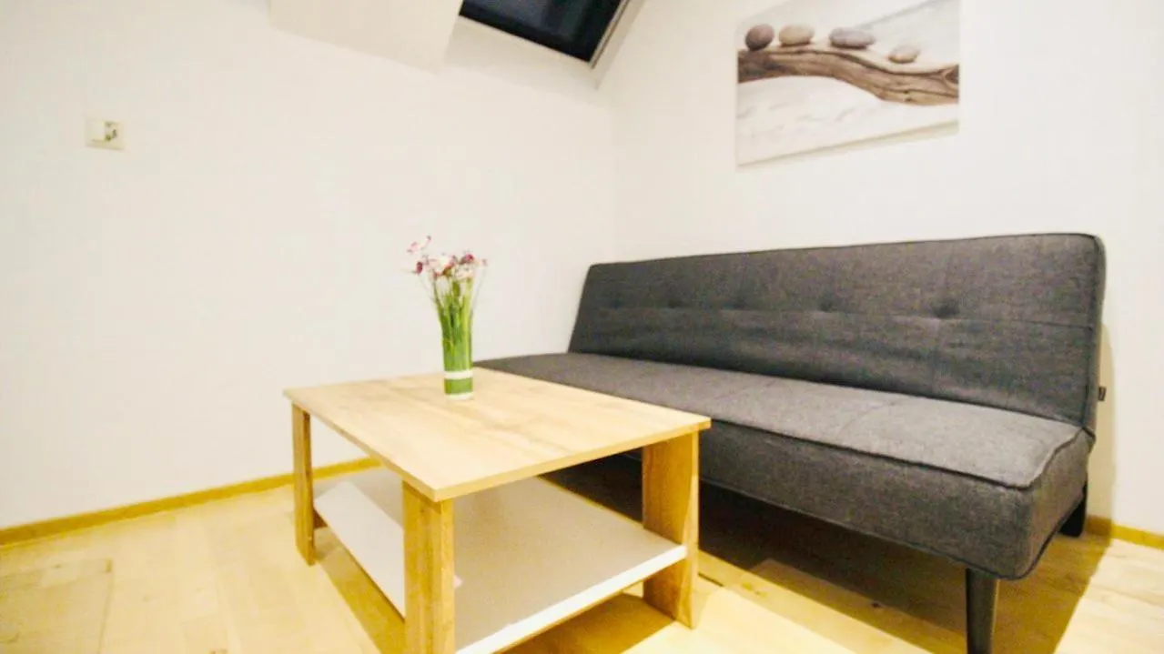 Comfort Rooms In Praterstern Area Vienna 0*,