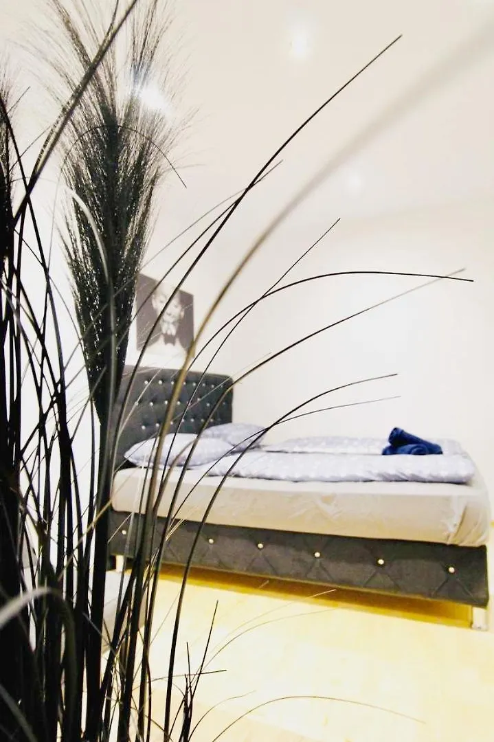 Comfort Rooms In Praterstern Area Vienna Austria