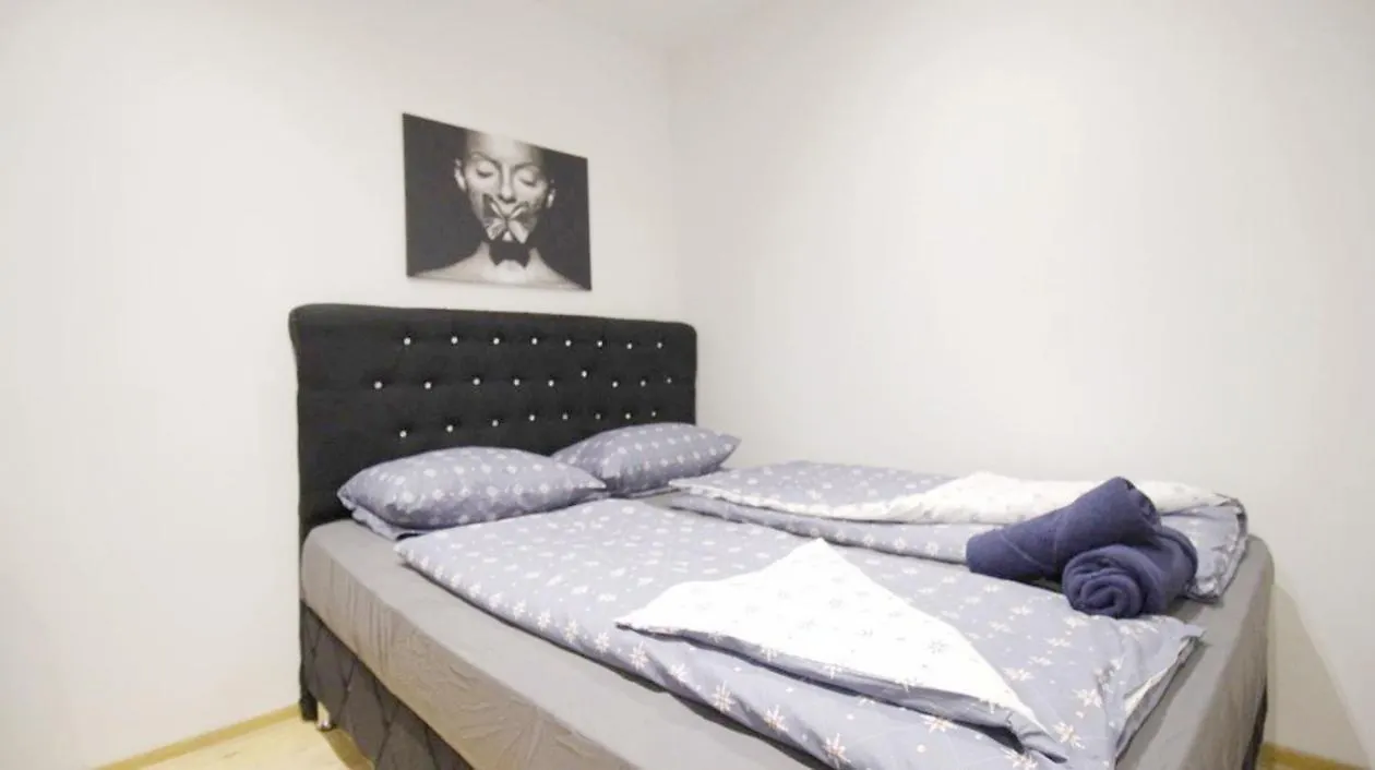 Comfort Rooms In Praterstern Area Vienna