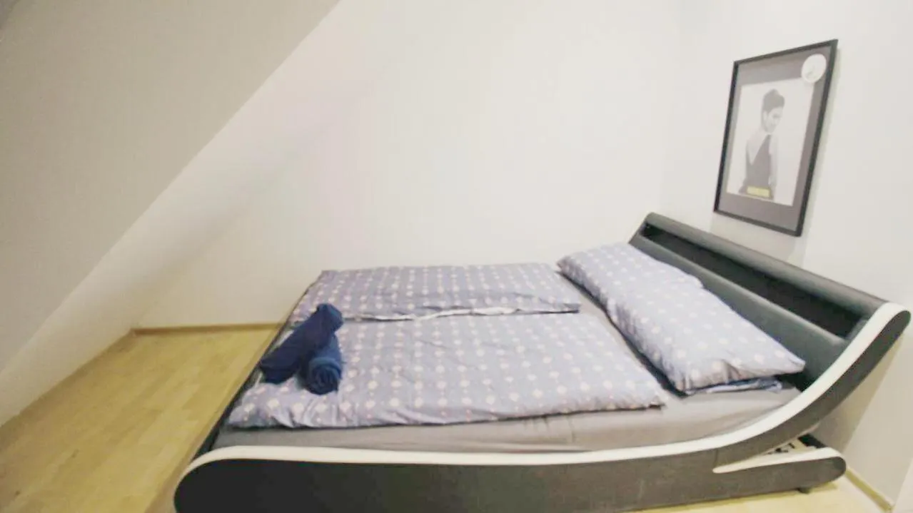 Comfort Rooms In Praterstern Area Wien